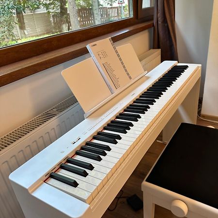 Peles Green Apartment & Piano Cluj-Napoca Extérieur photo