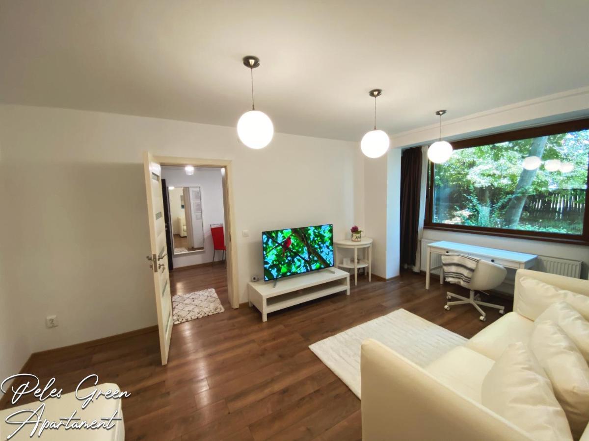 Peles Green Apartment & Piano Cluj-Napoca Extérieur photo