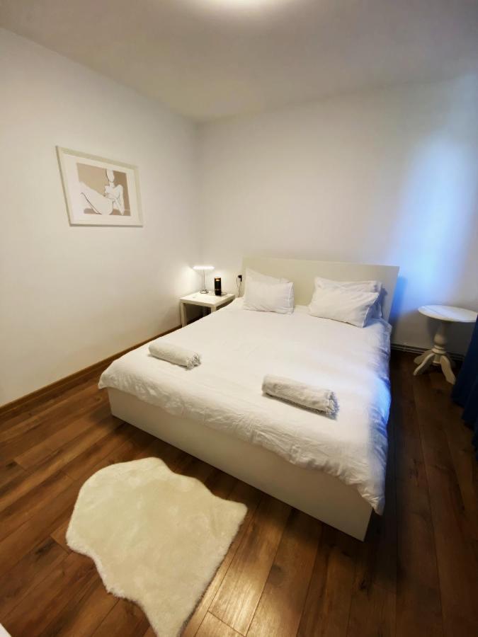 Peles Green Apartment & Piano Cluj-Napoca Extérieur photo